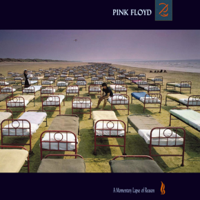 A+Momentary+Lapse+of+Reason
